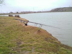 Floarea Popestiului 23 - 23 feb.